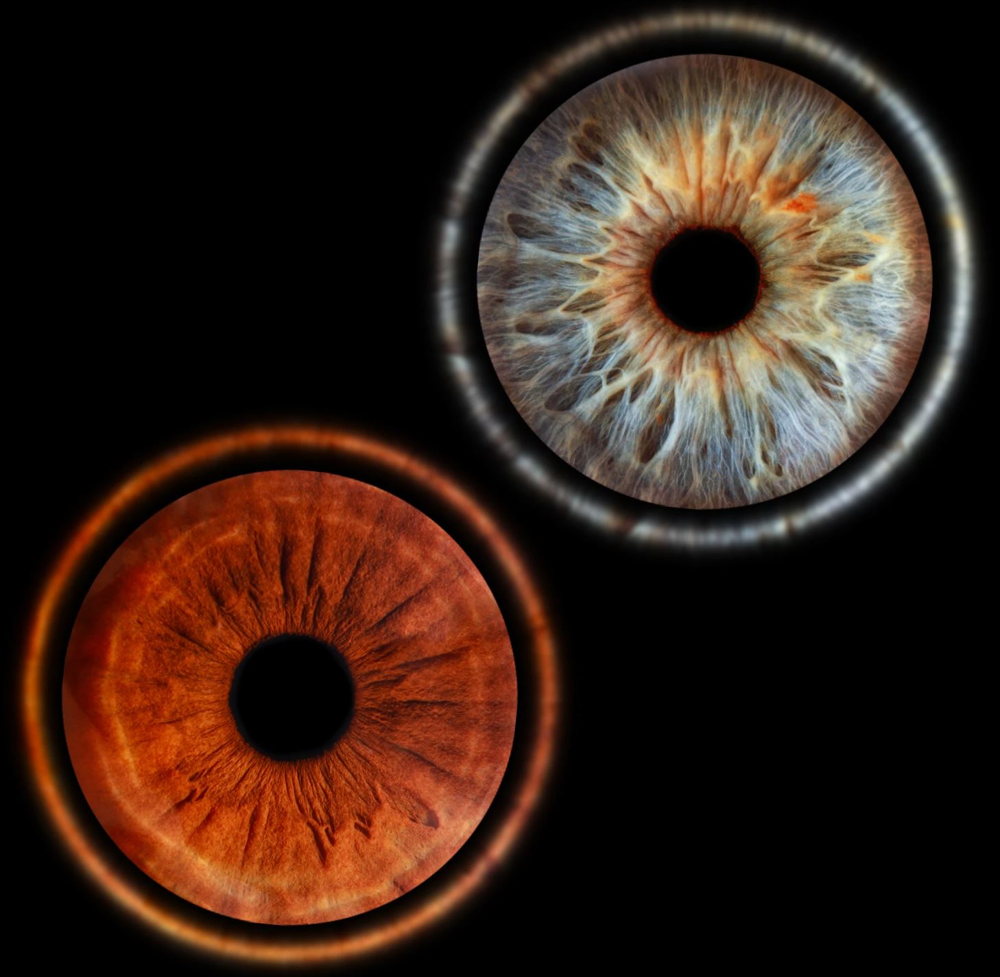 Парное фото радужки глаза