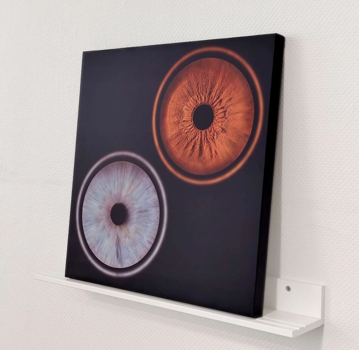 Парное фото радужки глаза