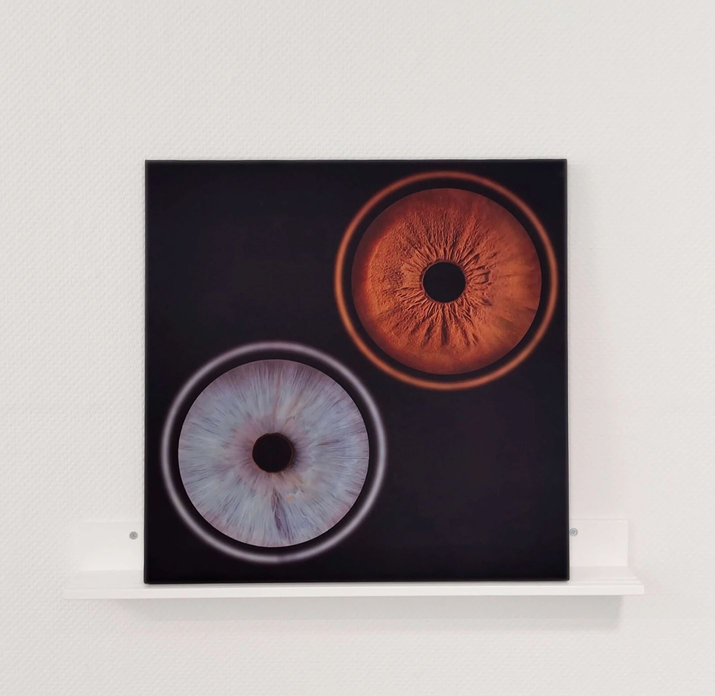 Парное фото радужки глаза