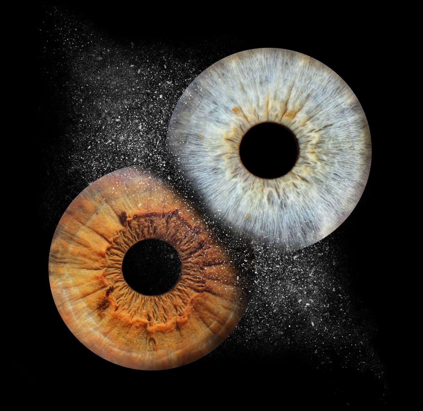 Парное фото радужки глаза